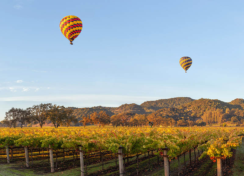 Sunrise hot air balloons in Yountville